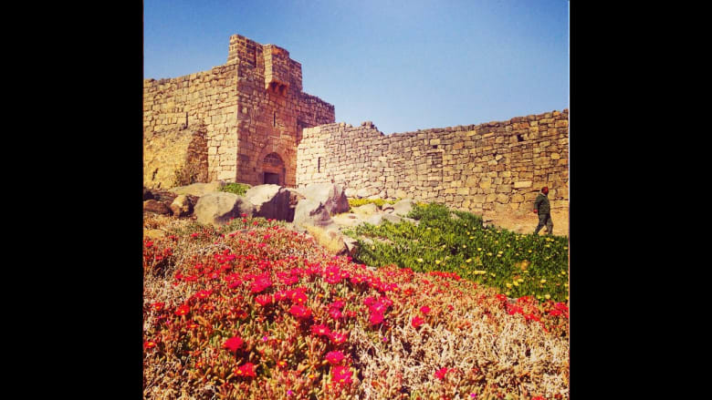 قلعة الأزرق، شرق الأردن، في فصل الربيع.