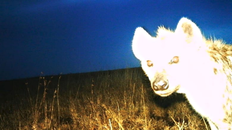 15 صورة "سيلفي" لحيوانات ستغير من نظرتكم لعالم الغاب