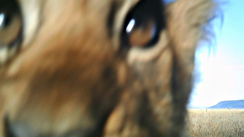 15 صورة "سيلفي" لحيوانات ستغير من نظرتكم لعالم الغاب