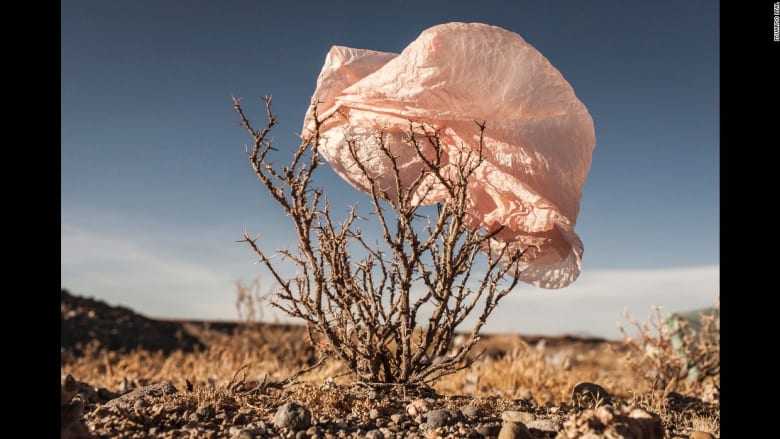 نظرة صغيرة لمشكلة بيئية كبيرة..عندما تعانق الأكياس البلاستيكية الطبيعة الأم