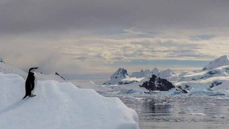 استكشف القطب الجنوبي