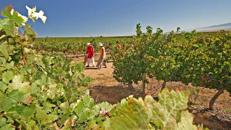 تعرف إلى 10 مناطق "رائعة" لصناعة النبيذ الفاخر..من بينها وادي البقاع اللبناني
