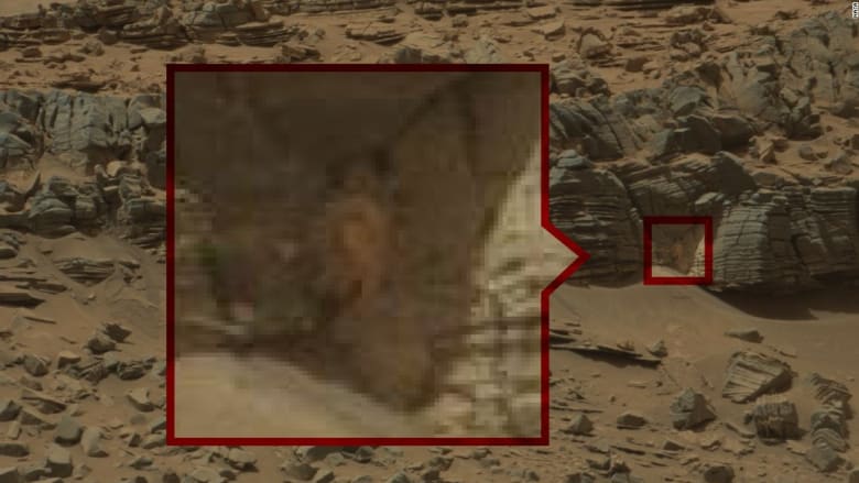 لقطات غريبة من المريخ.. دلالات للحياة أم هل فقد مستخدمو الإنترنت عقولهم؟ أنت الحكم