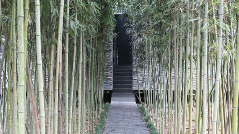 عجائب الهندسة المعمارية..في غابة نائية في الصين