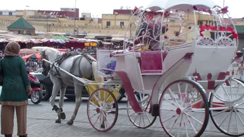 "الكوتشي".. وسيلة نقل وترفيه وسياحة في المغرب