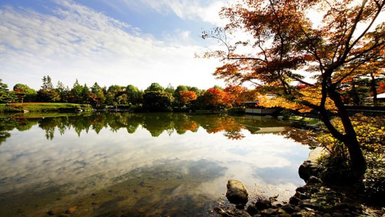 هذا الخريف.. أجمل الأماكن لمشاهدة طوكيو بأزهى الألوان 
