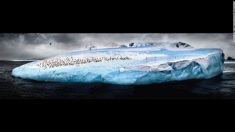 لقطات بعدسة مصور عالمي توثق جمال القارة القطبية المتجمدة الأنتارتيكا