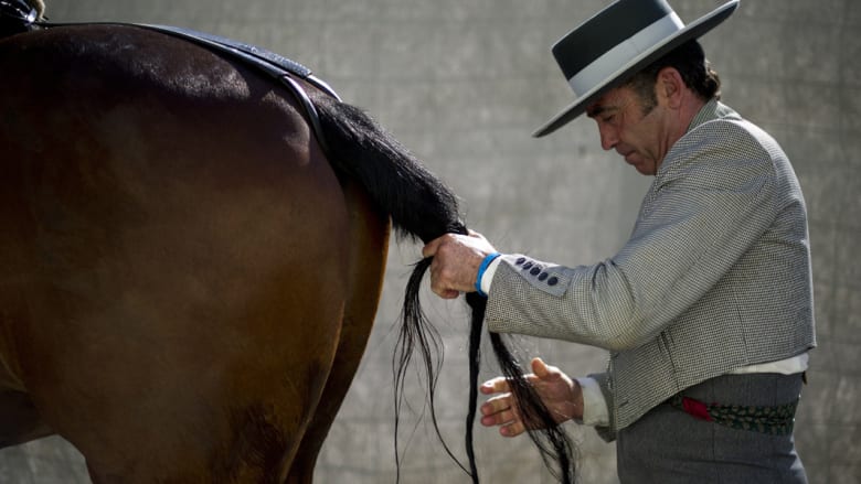 لقطات من  مهرجان الخيول الدولي "SICAB" في أسبانيا