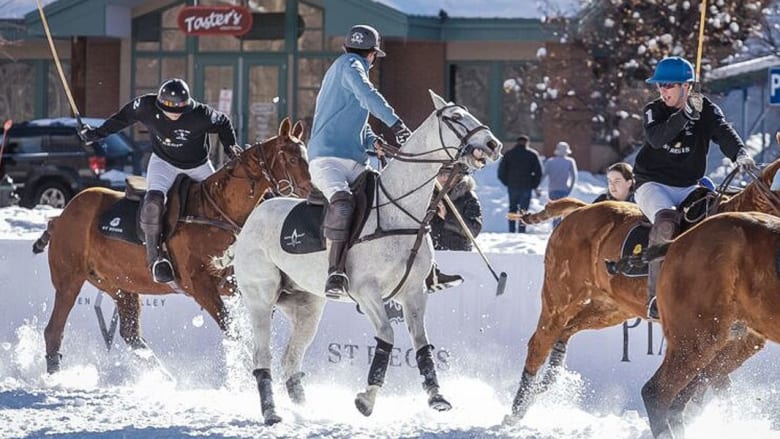 البولو على الثلج: النسخة الشتوية "المثيرة" للرجل وحصانه 