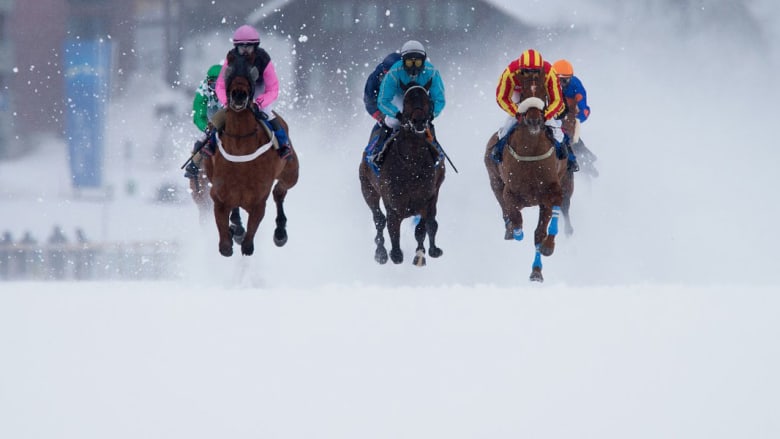 سباقات "العشب الأبيض".. حيث تتزين الأحصنة بحبيبات الثلج الكريستالية