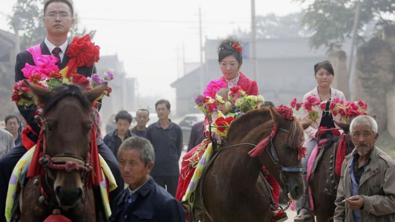 الخيول في حفلات الزفاف حول العالم