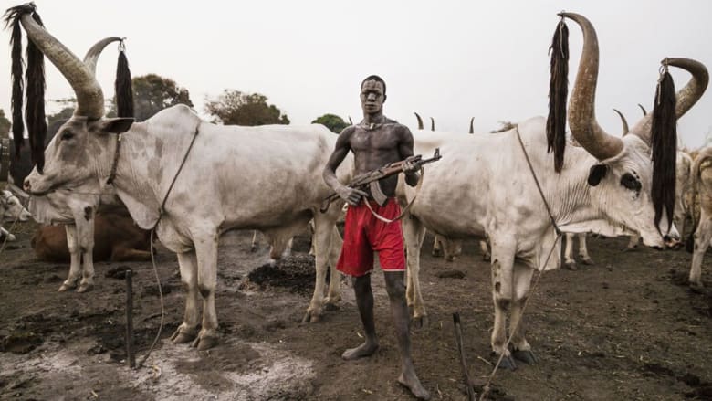 أفراد هذه القبيلة يموتون لتعيش أبقارهم.. في جنوب السودان 
