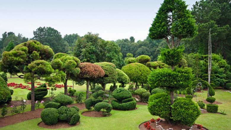8 حدائق من بين الأجمل في العالم 