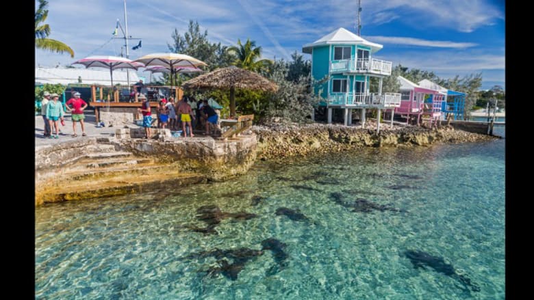 هل أنت من محبيّ زوارق الكاياك؟ لا تفوّت زيارة جزر الباهاما