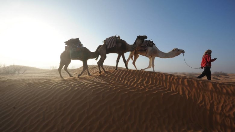 هل ترغب بزيارة تونس؟ إليك عشر مناطق سياحية يجهلها سياح كثر