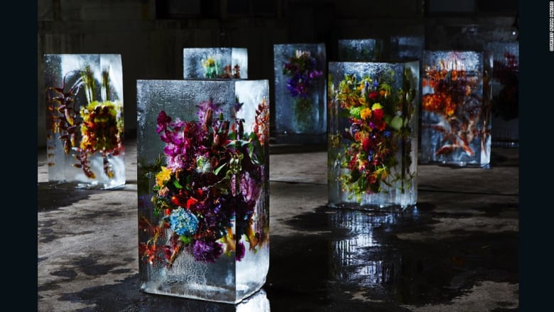الفنان أزوما ماكوتو يصنع لوحات تصويرية بالأزهار 