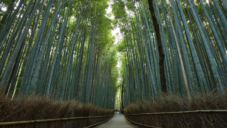 كيوتو مرتعاً لعجائب الهندسة المعمارية والتاريخية والعصرية