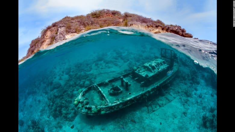 عالم البحار كما لم تره من قبل... أفضل الصور الفوتوغرافية تحت الماء للعام 2016 