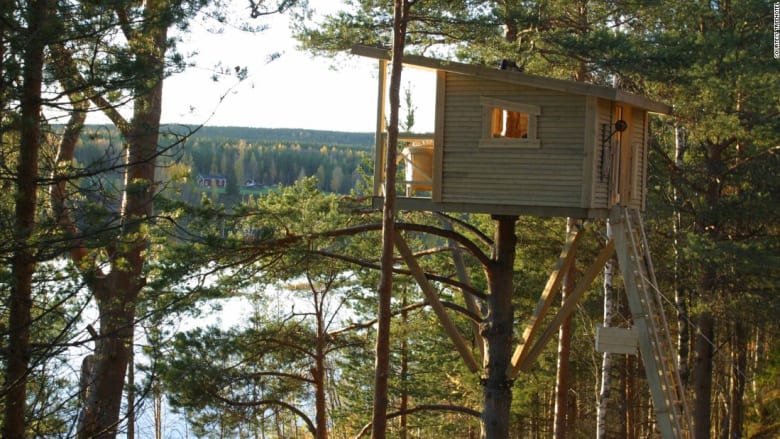 بيوت في الأشجار تطرح حلولاً للعيش المستدام 