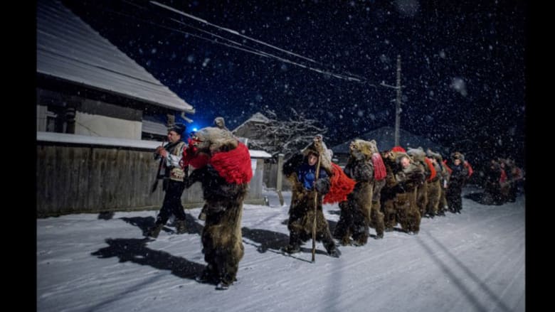 في رومانيا.. الدببة ترقص أيضاً احتفالاً برأس السنة