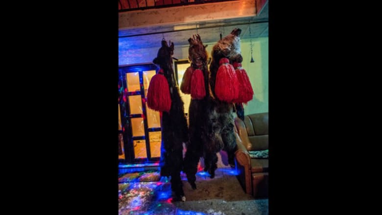 في رومانيا.. الدببة ترقص أيضاً احتفالاً برأس السنة
