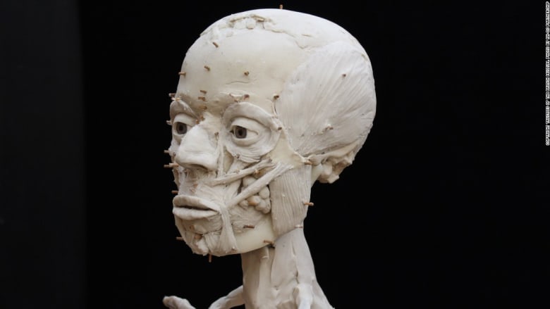 تمكن علماء الآثار من إحياء وجه "جمجمة أريحا" بعد 9500 عام بالطباعة ثلاثية الأبعاد