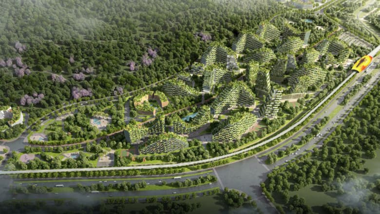 "مدينة الغابة" وسط الصين تلتهم التلوث وتنتج الأوكسجين