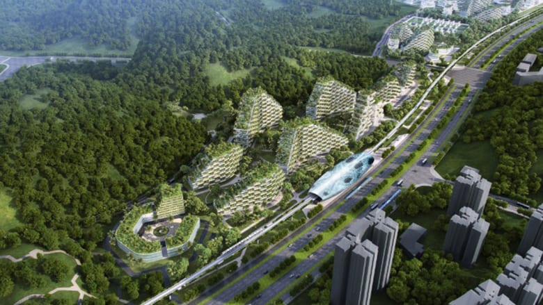 "مدينة الغابة" وسط الصين تلتهم التلوث وتنتج الأوكسجين
