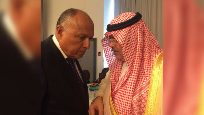 مصر والسعودية تؤكدان استمرار تنسيق المواقف بشأن قطر