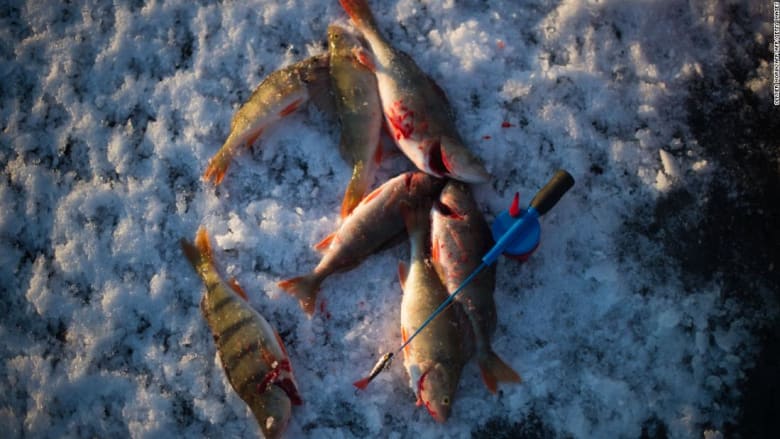 كيف تستخدم “السحر” لصيد الأسماك في الجليد؟
