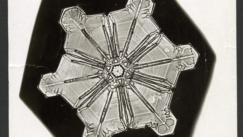 كيف التقطت أول صور البلورات الثلجية في العالم؟