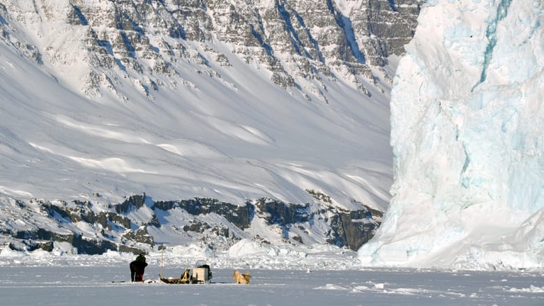 تزلج على جليد هذا البحر في غرينلاند