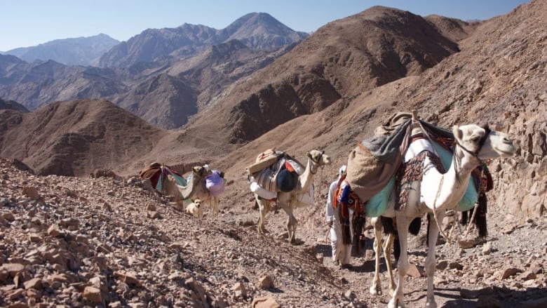 درب سيناء..عندما يراهن البدو على وجهة للمشي في مصر