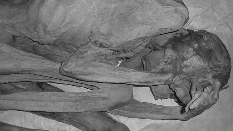 أقدم وشوم فنية في العالم.. على أجساد مومياوات مصرية