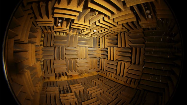 هذه الغرفة الأكثر هدوءاً في العالم.. ماذا يسمع بداخلها؟