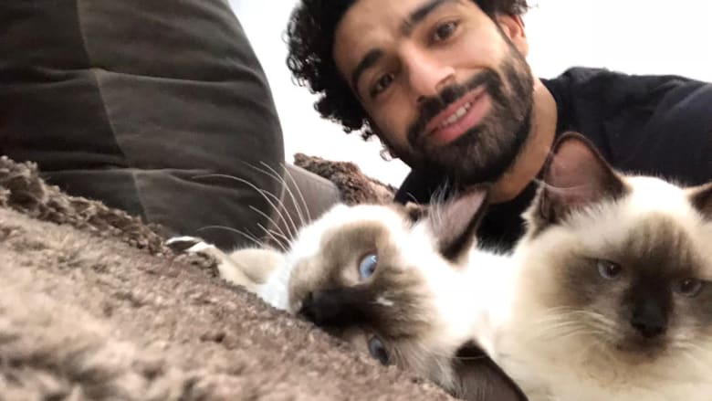 محمد صلاح يغرد عن القطط والكلاب بعد جدل حول تصديرها بمصر