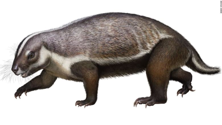 عمرها 66 مليون عام.. اكتشاف حفريات تعود لـ"وحش" غريب عاش بين الديناصورات في مدغشقر