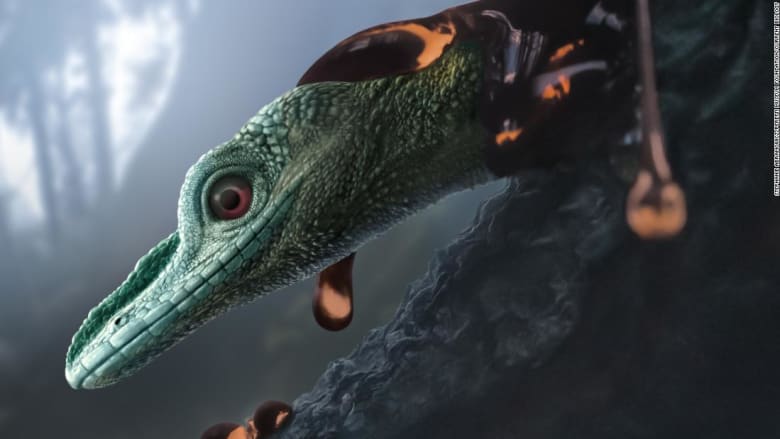 دراسة: تحليل خاطئ لجمجمة اعتُقد أنها تنتمي لأصغر ديناصور بالعالم