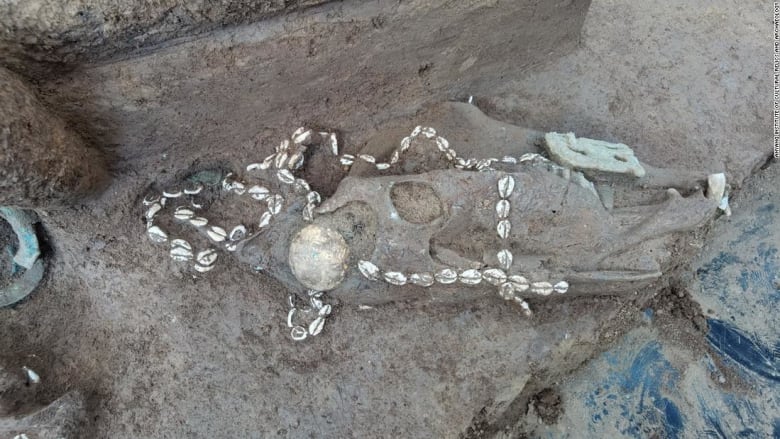 علماء الآثار يكشفون عن مقابر قديمة لعشيرة صينية ثرية