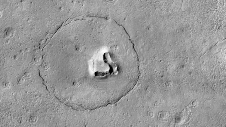 دب على سطح المريخ