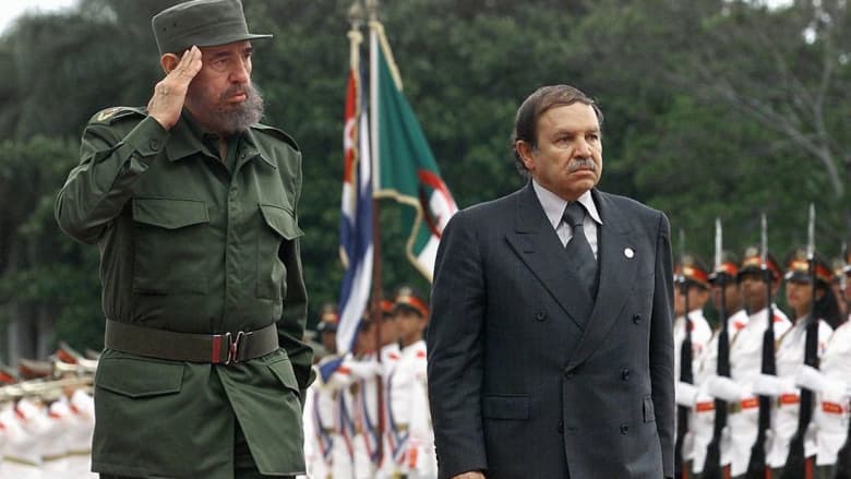 ما هي أسرار العلاقة القوية بين كاسترو والجزائر؟