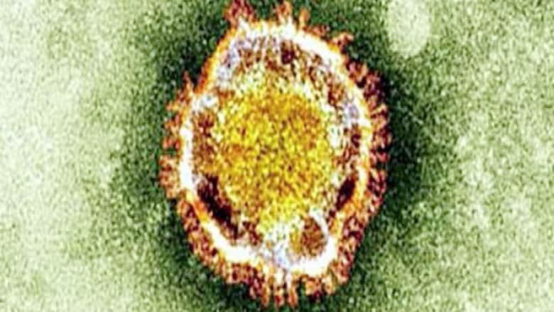 فيروس "كورونا".. ذعر مع ارتفاع الإصابات وغموض طرق العدوى