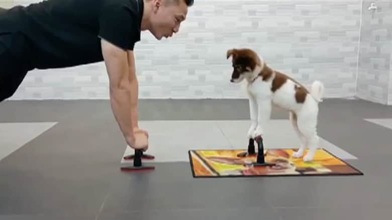 بالفيديو.. كلب يقوم بتمارين رياضية مع صاحبه