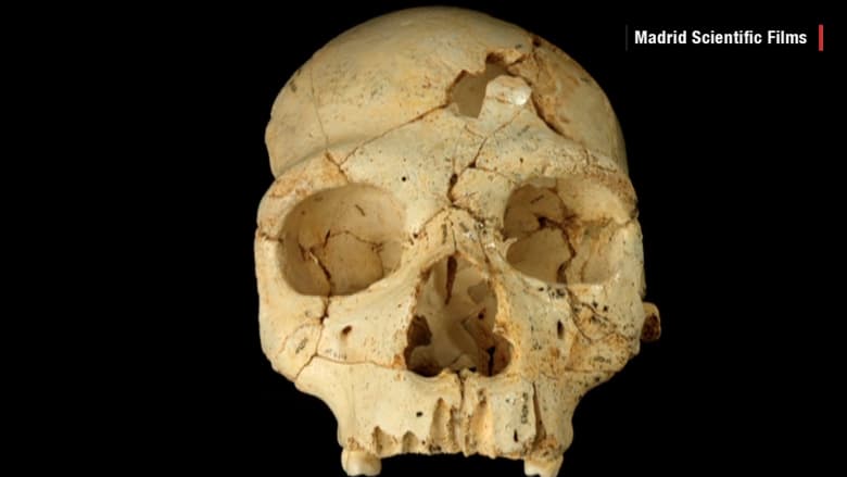 جمجمة لـ"أسلاف البشر" تكشف جريمة قتل عمرها 430 ألف سنة