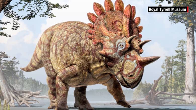 اكتشاف فصيلة جديدة للديناصورات.. جمجمة كالتاج تذكر بـ"هيل بوي"