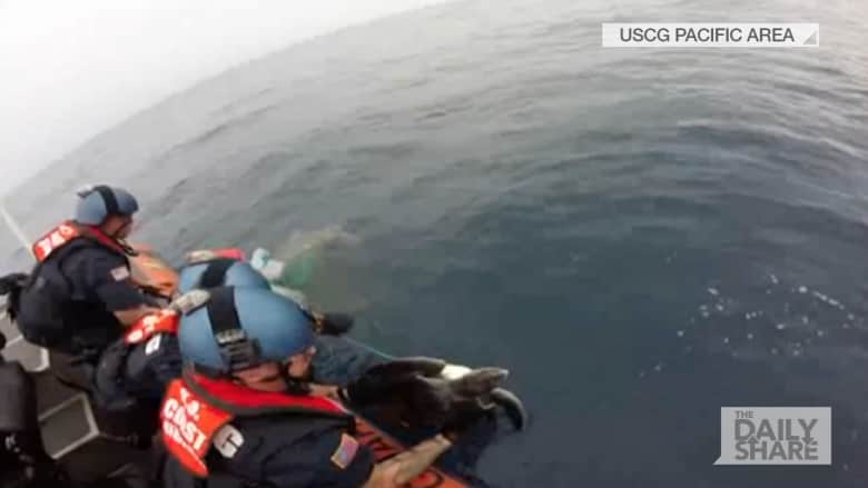 شاهد بالفيديو.. خفر السواحل الأمريكي يتحرك لإنقاذ سلحفتين علقتا بالشباك