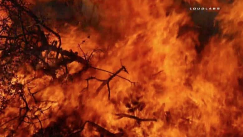 بالفيديو.. حرائق الغابات تجبر سلطات كاليفورنيا على إجلاء السكان