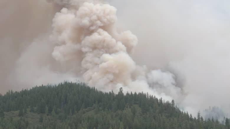 بالفيديو.. مشاهد مرعبة لحرائق الغابات في كاليفورنيا