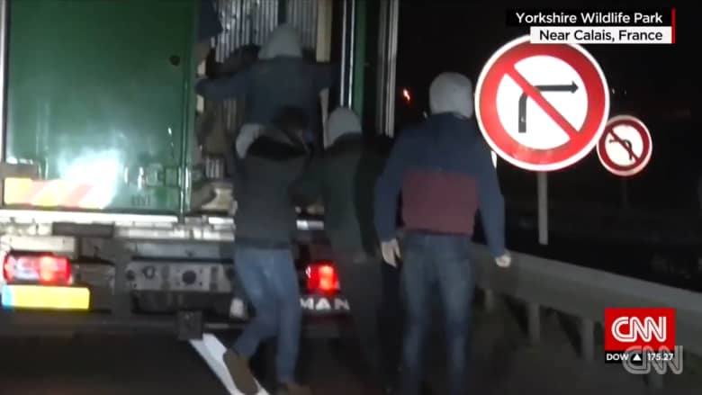 شاهد: في محاولة للوصول إلى بريطانيا.. لاجئون في فرنسا يتسللون إلى شاحنة تنقل دباً قطبياً