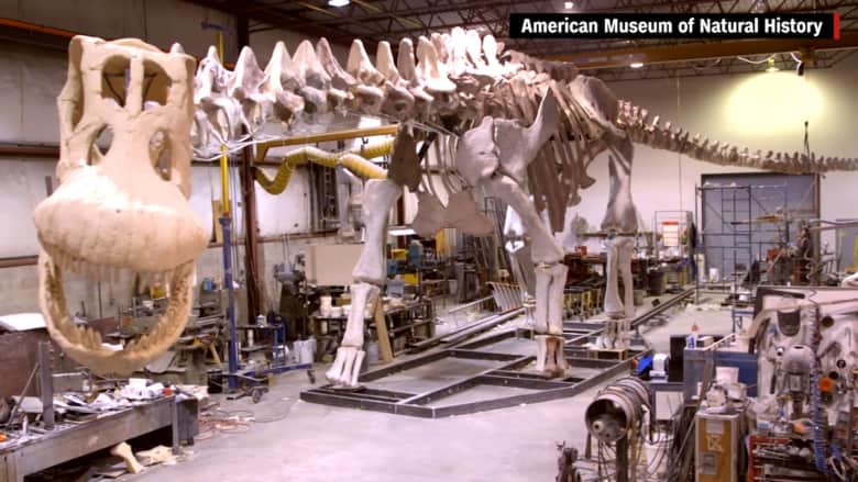 بالفيديو: تعرف إلى أكبر الديناصورات في العالم… التيتانوصور